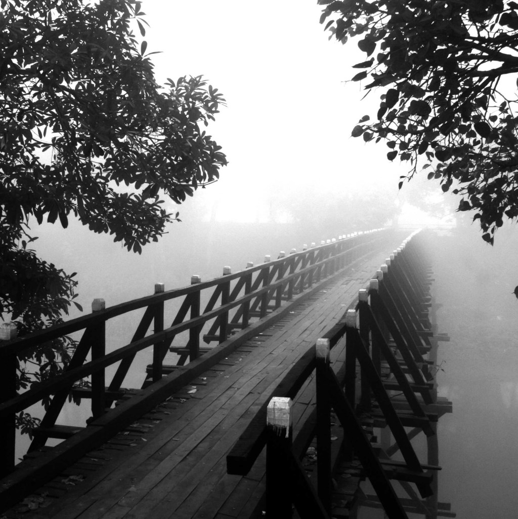 The Uncertainty of&nbsp;Change